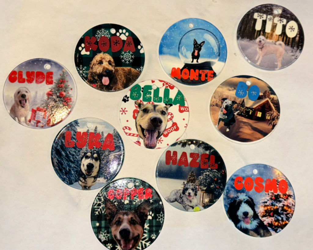 Collection of circular pet photos ornaments with names on a light background